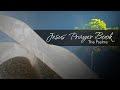Jesus' Prayer Book | Psalm 22 | Katelyn Condon