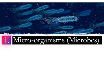 What are microbes? - Microorganisms: An introduction : "Microorganisms - Part 1"