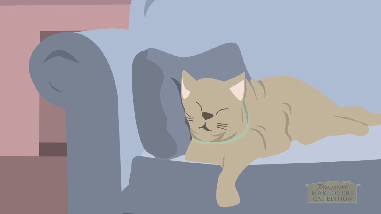 Tips to Keep Your Indoor Cat Active