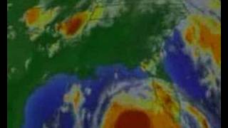 Famous Local voices, global choices (module 1) Wealth