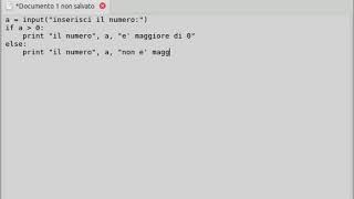 Celebrity Video corso Python - seconda lezione Net Worth