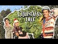 BUSCANDO EL PERFECTO ÁRBOL NAVIDEÑO | LOS POLINESIOS VLOGS