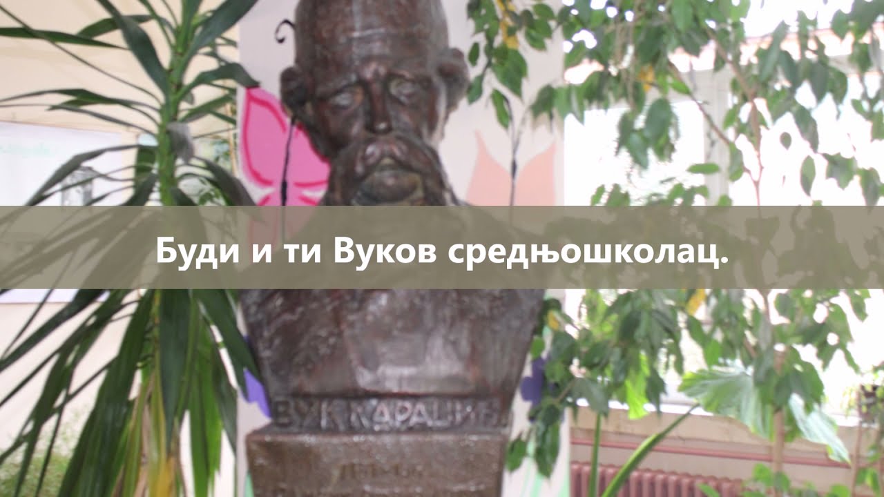 Srednja škola Sečanj