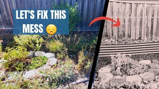 For less than $20, I filled a HUGE new Vego Garden RAISED BED! And TRANSFORMED an EYESORE space!