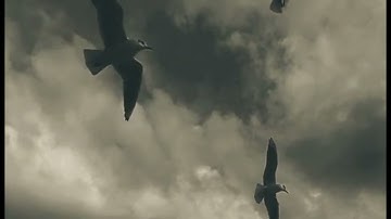 #يوم_الجمعة أكثر الصلاة على النبي صل الله عليه وسلم #سورة_الكهف #الأحزاب مع #دعاء