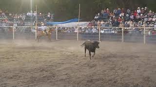 rancho el potrero toro el turbo vs la dónde venden miedo para comprar un poco