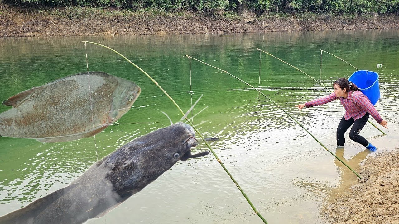Traditional fishing technique. The girl caught a huge school of carp using a bamboo fishing rod.