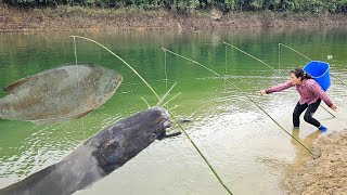 Traditional fishing technique. The girl caught a huge school of carp using a bamboo fishing rod.