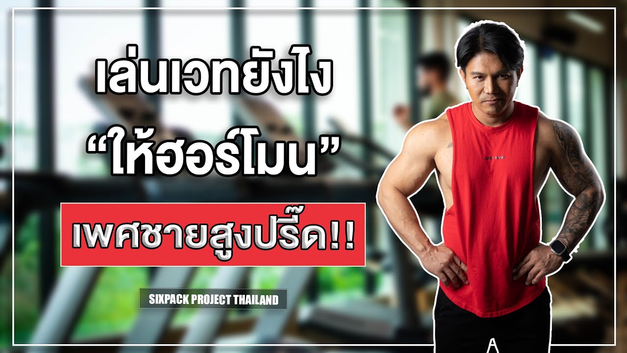 เล่นเวทยังไง ให้ฮอร์โมนเพศชายสูงปรี๊ด!! I SIX PACK PROJECT