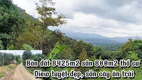 ( Ngưng bán)Bán vườn cây ăn trái, giáp suối, view tuyệt đẹp|| Đường xe hơi tận nơi|| Giá ngộp 