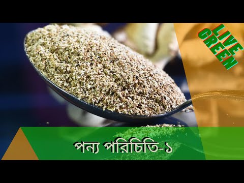 ভিডিও: মাশরুমগুলি প্রায়শই রান্নায় ব্যবহৃত হয়