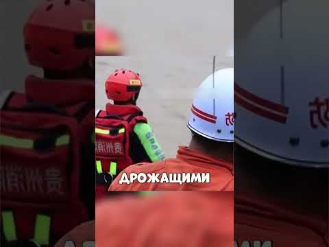 Мужик СПАС корову и теленка из бурной РЕКИ🥺🔥🐮