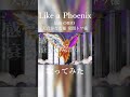 【 #shorts 】Like a Phoenix - ORIO (歌ってみた) / そのおと&ねこまくろ【NKN建設】
