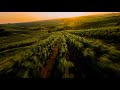 Le jura comme vous ne lavez jamais vu  drone fpv 2023 4k