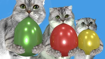 Learn colors with Balloons ! Kids and daddy have fun playtime with color song !