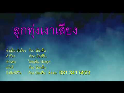  เพลง ลูกทุ่ง ฝากใบลา