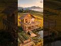 From Empty Rice Field to Luxury Bamboo Retreat 🌾🏡ran #bamboohouse#timelapse#tinyhouse
