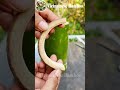 Smart living tips with bamboo – A great idea from the countryside # Vietnamese Bamboo