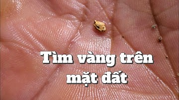 Tìm vàng sa khoáng trên mặt đất