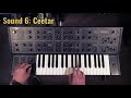 The Yamaha CS-15 Analogue Synthesizer from 1979 - A Forgotten Animal