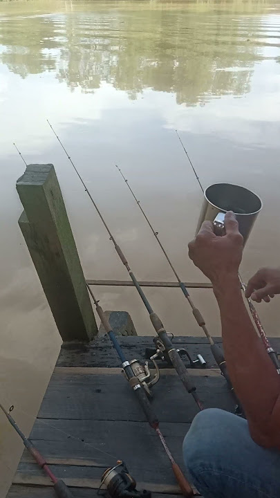 Karma Cinta #viral #freshentertainment #viralvideo #fishing #fishing #viralsong #breadthfighter #...