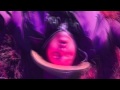 Alex Wiley - 