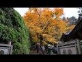 紅葉　京都大原寂光院