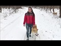 Команда "рядом", как научить собаку  ходить рядом