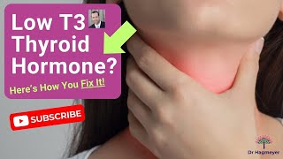 💊How You START Fixing LOW T3 || WHY T3 Is Not The Answer‼️ 🩺Dr Richard Hagmeyer