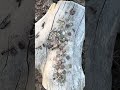 Nada mal salió de todo un poco saludos a mis seguidores