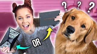 Our Dogs Control Our Lives for a Day?! 24 Hour Challenge