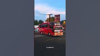 Albino lewat, telolet Guuga siap goyang kepala! #telolet #basuri #ets2indonesia #frgameplays