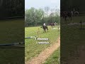 My First Jump On This Pony Will Forever Be Remembered Mustang Horse Pony Jumping Firstjumpever 