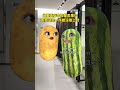 歪果仁 净整些虚头巴脑的一天天的歪果仁系列 一定要看到结尾 真实还原 西瓜演技大赏 小淘气鬼当家 歪果仁 净整些虚头巴脑的一天天的歪果仁系列 一定要看到结尾 真实还原 西瓜演技大赏 小淘气鬼当家