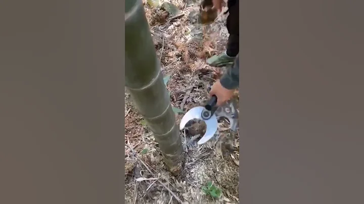 very sharp tree cutting tool ⛏️👌🔥😱