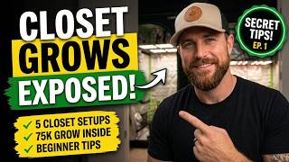 Inside 6 Closet Grow Setups (What Actually Works)