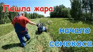 Начинается сенокос. Роторная косилка Заря,мотоблок Нева МБ-2.