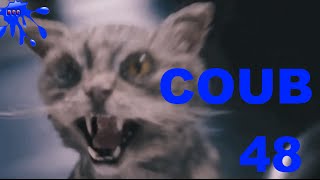 Лучшее видео COUB за июнь 2016 Best Coub за неделю Выпуск 48 Лучшее видео COUB за июнь 2016 Best Coub за неделю Выпуск 48