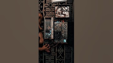 #modularsynth #synthesizer #music #synth #dawless #noise #electronicmusic #eurorack