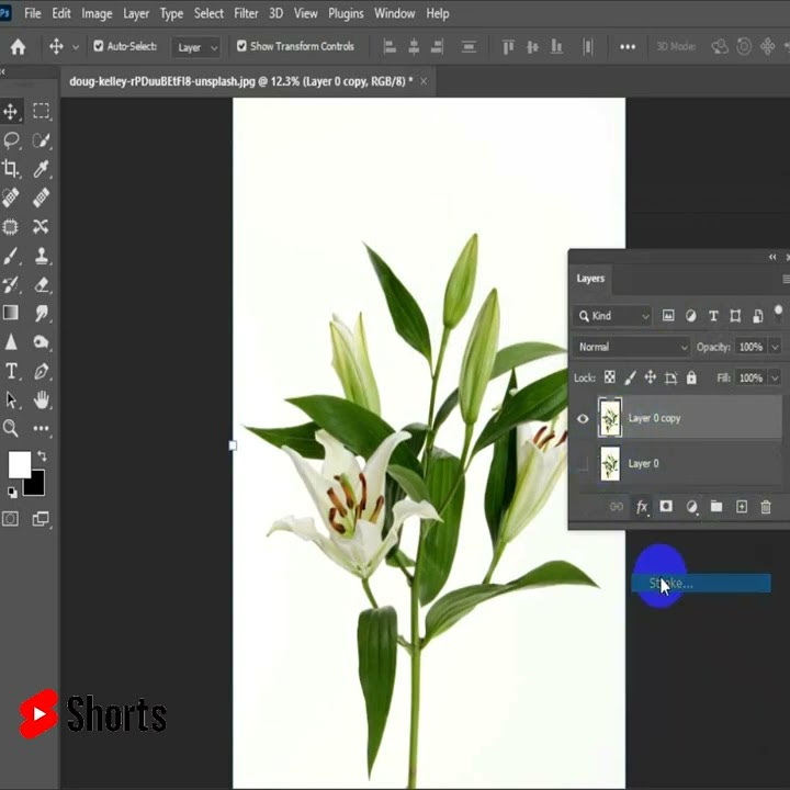 how-to-add-border-solid-color-in-photoshop-shorts-viral