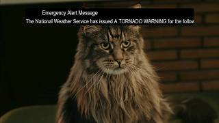 Confirmed Tornado Warning in Harper's Ferry, IA (June 17)