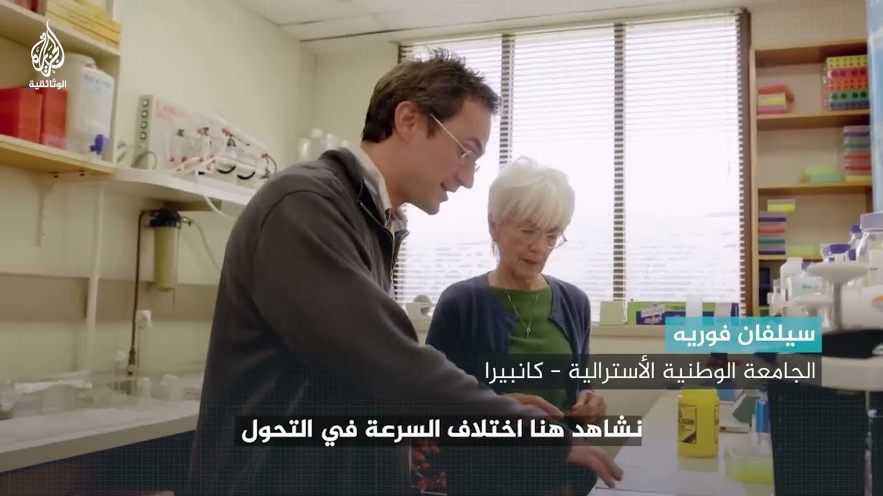 ملكة أم عاملة؟ ما الذي يجعل نحلة في مرتبة متقدمة عن أخرى؟