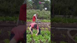 Mark 1045 - A Servants Heart