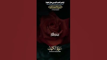 سورة الكهف . القرآن الكريم #quran #islamicstatus #اكسبلور #palestin #تيك_توك #duet #youtube #دويتو