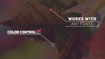 20 Callout Pack After Effects Templates