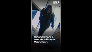 Skull donated to Michigan Goodwill