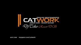 Catwork Remix Engineers & DjTekoRecorDS 2013 Resimi