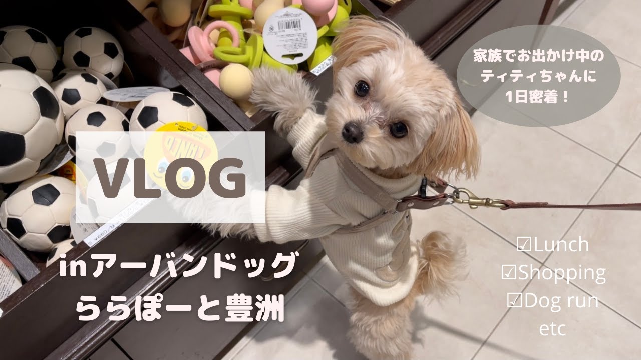 【VLOG】家族とお出かけ中のティティちゃんに1日密着inアーバンドッグららぽーと豊洲