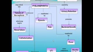 CONCEPT MAP: PYELONEPHRITIS