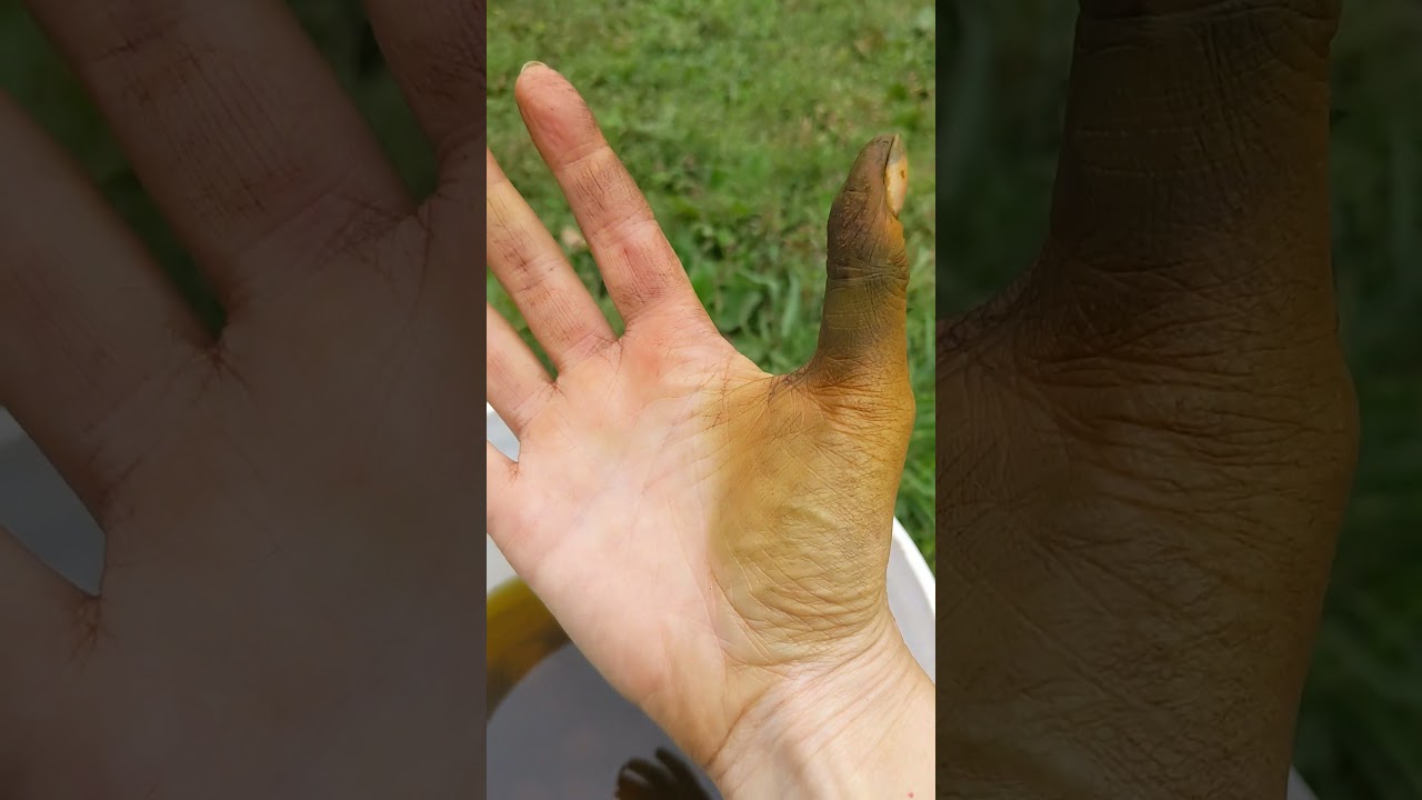 Черный орех оставляет на коже *совсем* немного пятен 